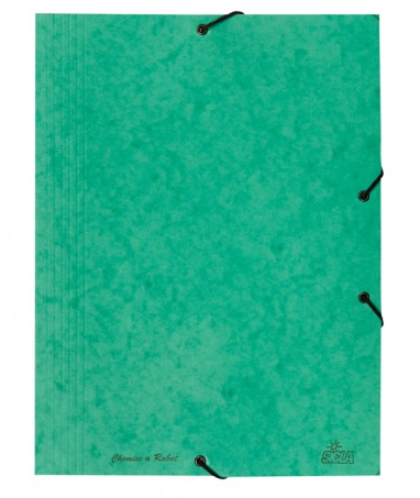 CHEMISES À RABATS Vert
